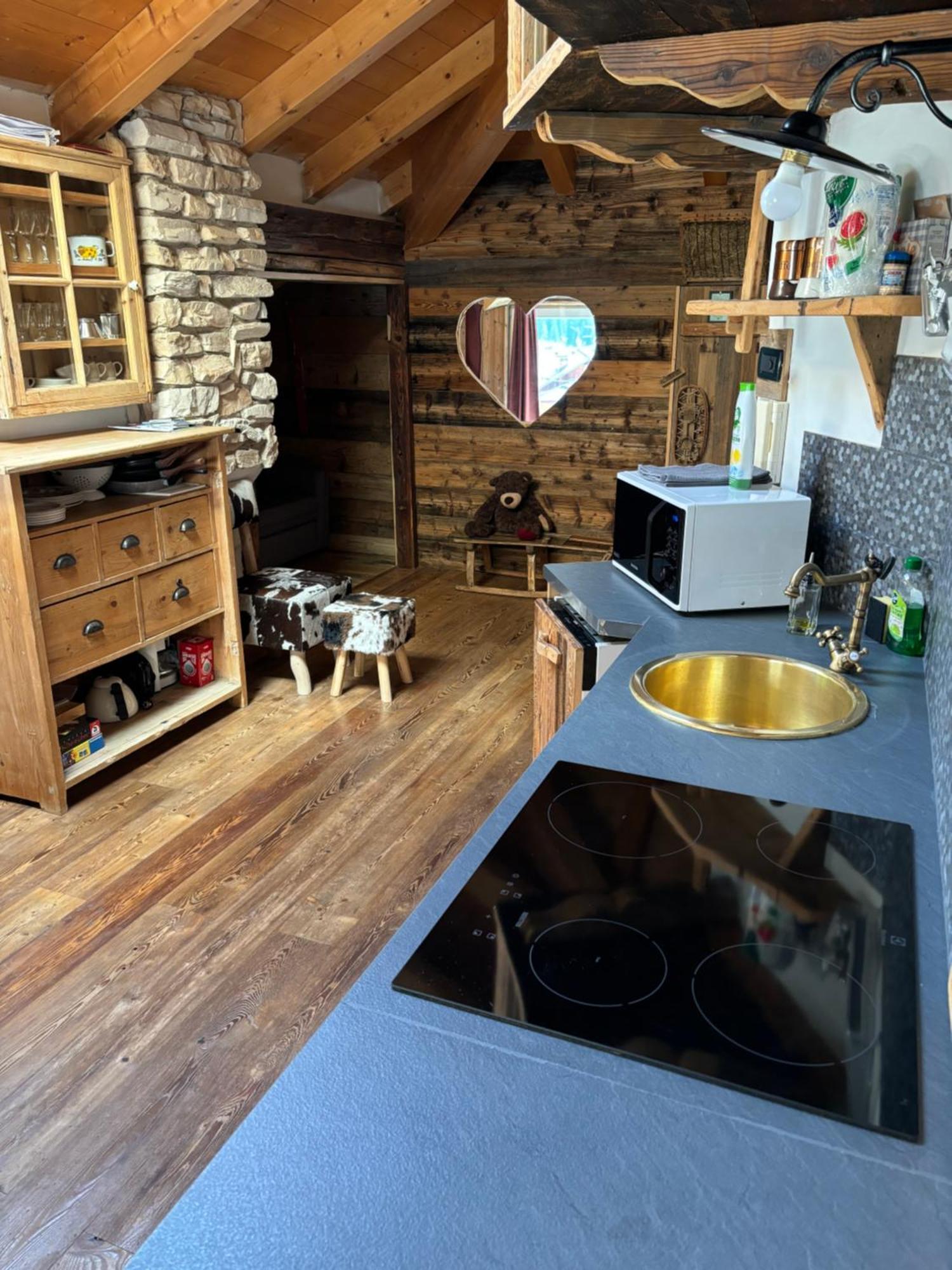 La Tana Dell'Orso Apartment Campitello di Fassa Luaran gambar